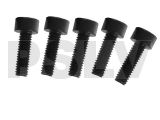 100-268 M2.5x8 Socket Head E5